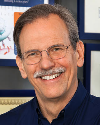 tim springer